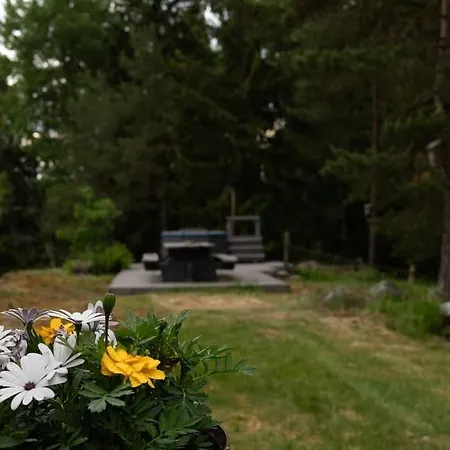 Keltainen Talo - Tilava Laehellae Saloa Villa