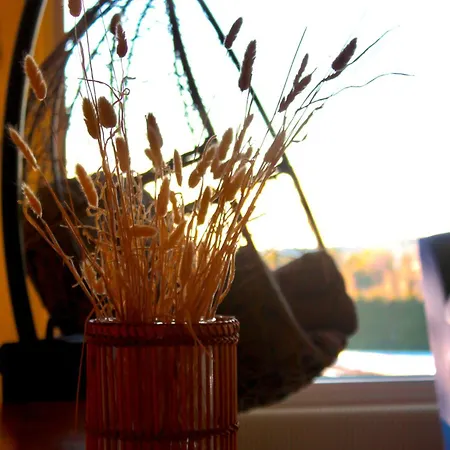 Keltainen Talo - Tilava Laehellae Saloa