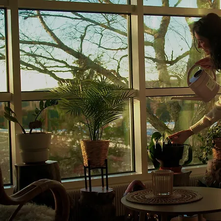 Villa Keltainen Talo - Tilava Laehellae Saloa *