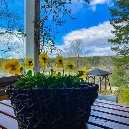 Villa Keltainen Talo - Tilava Laehellae Saloa *