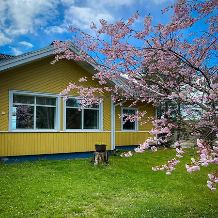 Keltainen Talo - Tilava Laehellae Saloa * Vartsala